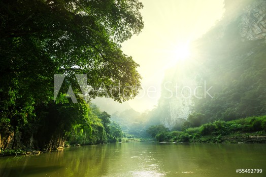 Bild på Tropical river